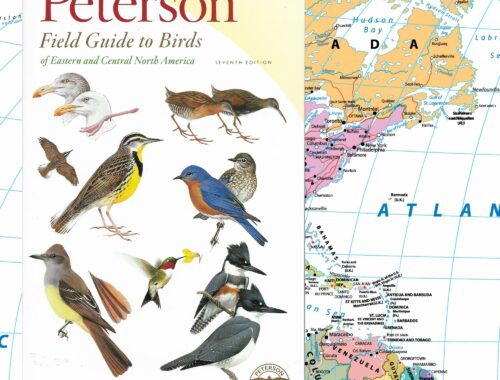 Cover of Peterson Field Guide to Birds of Eastern and Central North America – 7th Edition