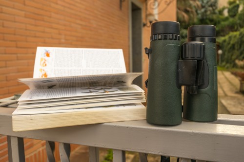 Binoculars and field guide